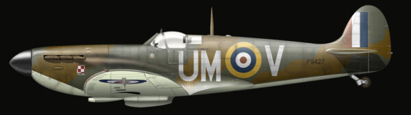 Spitfire illustration in profile